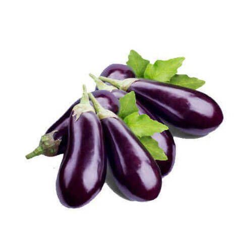 Brinjal – Nandani Enterprise